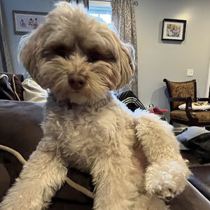 Meet your Posher, Brenna